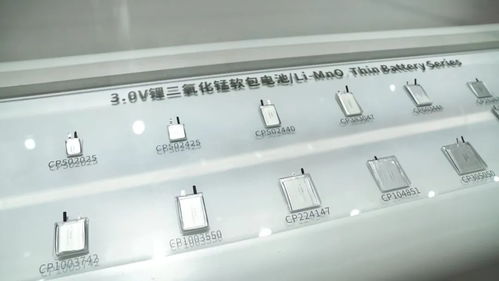 汉阳要闻 数字赋能政务，汉阳区政府门户网站优化网络线建设